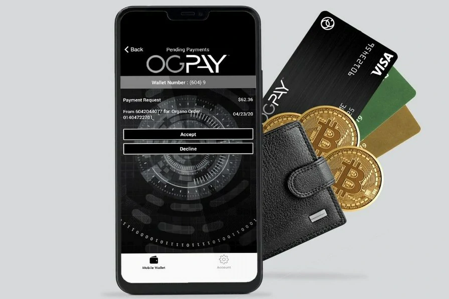 Аккаунты OGpay USA саморег